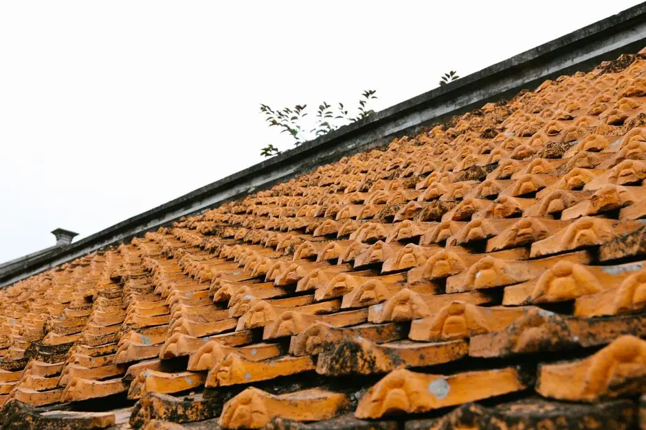 Arizona Roofing Pros team